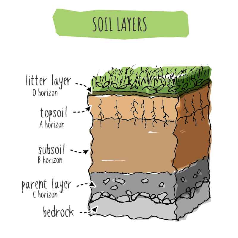 Understanding the Distinction: Compost vs Topsoil - OffGridHarmony