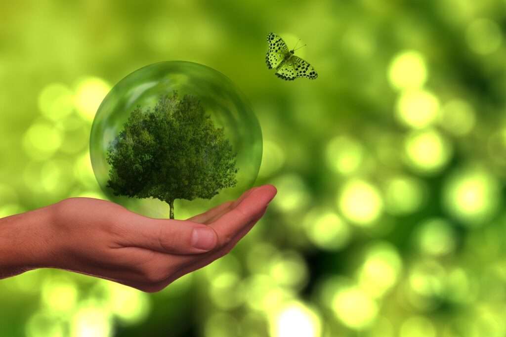 Fresh Look at What Are The Main Challenges Of Off Grid Living