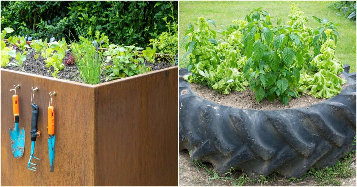 Why raised garden beds may not be the best choice for gardening Why raised garden beds may not be the best choice for gardening