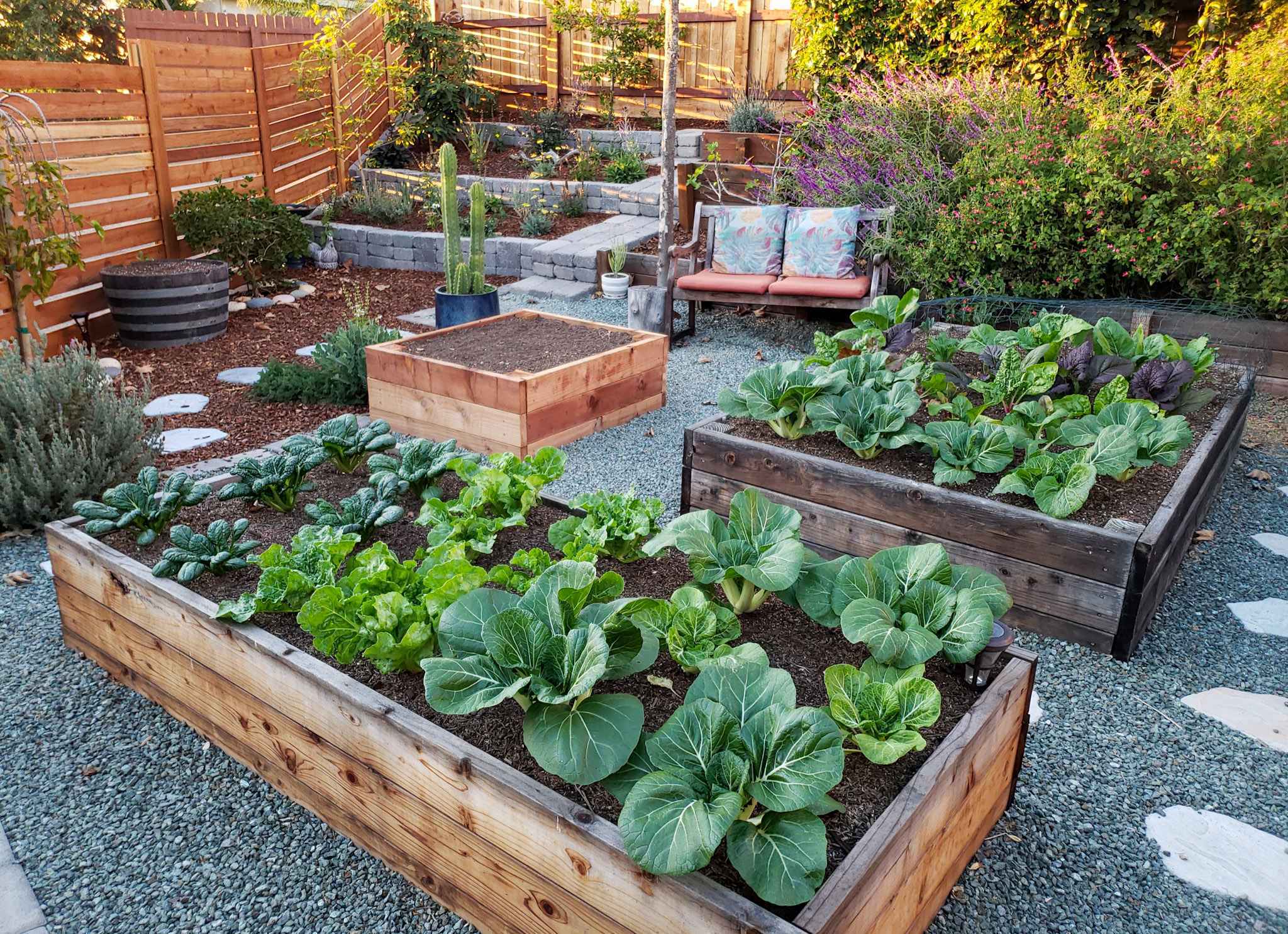 Why raised garden beds may not be the best choice for gardening Why raised garden beds may not be the best choice for gardening