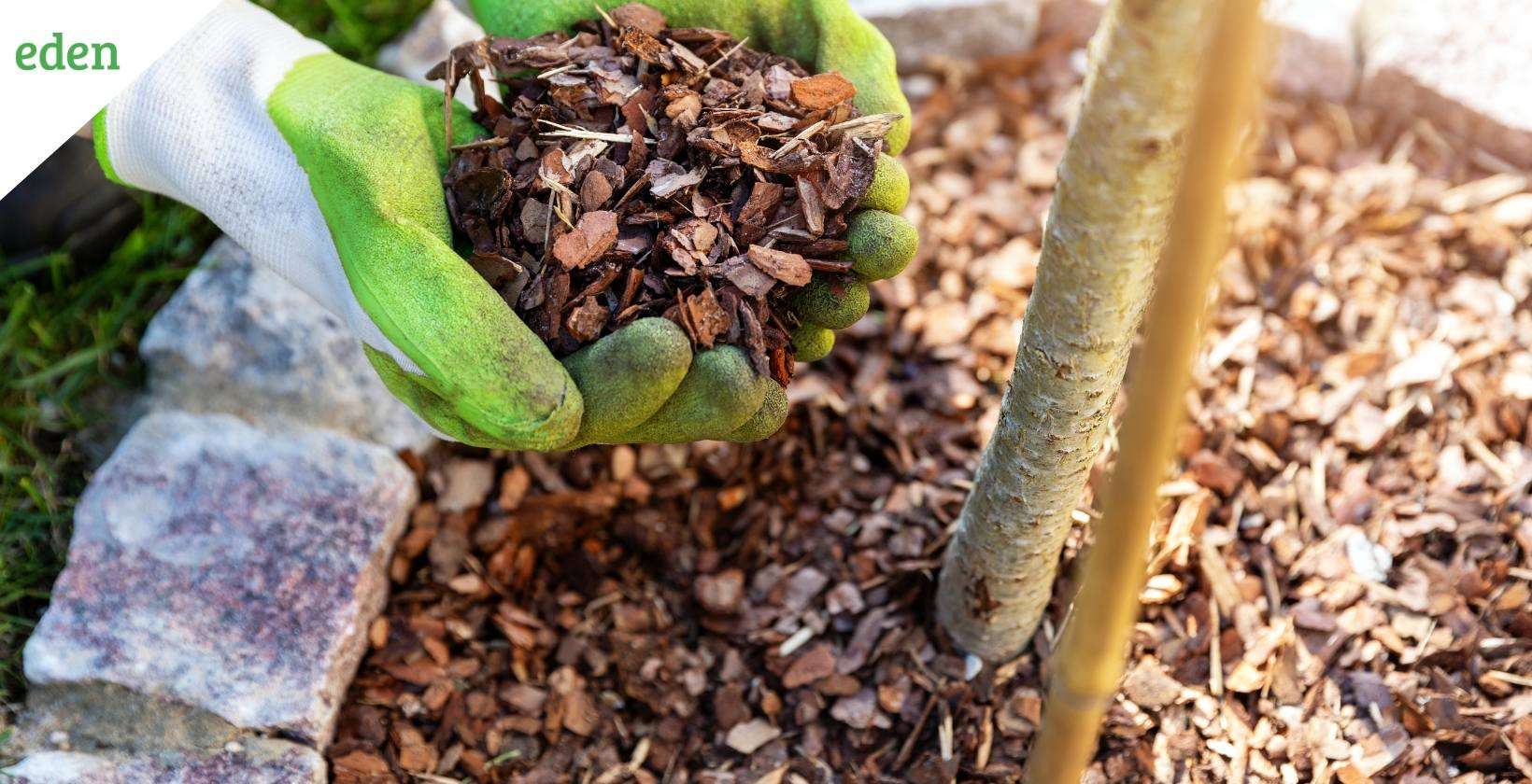 Advantages and disadvantages of mulching Advantages and disadvantages of mulching