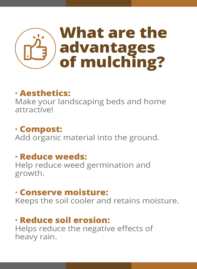 Advantages and disadvantages of mulching Advantages and disadvantages of mulching
