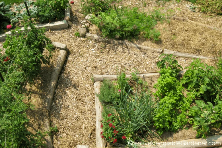 Benefits of Mulching in Vegetable Gardens
