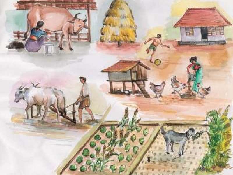 Choosing the right livestock for a small homestead is important for sustainable and efficient animal husbandry. Choosing the right livestock for a small homestead is important for sustainable and efficient animal husbandry.