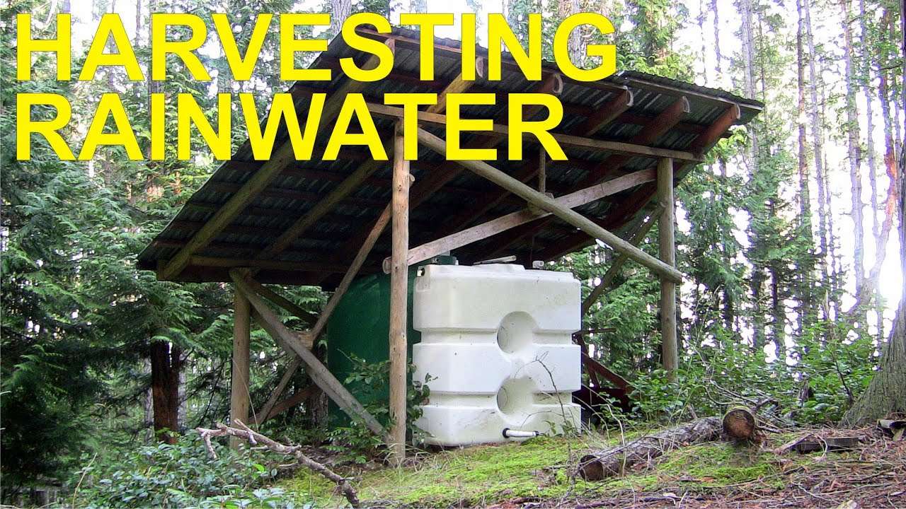 Collecting rainwater: An easy and fast way to get water for off-grid homesteads Collecting rainwater: An easy and fast way to get water for off-grid homesteads