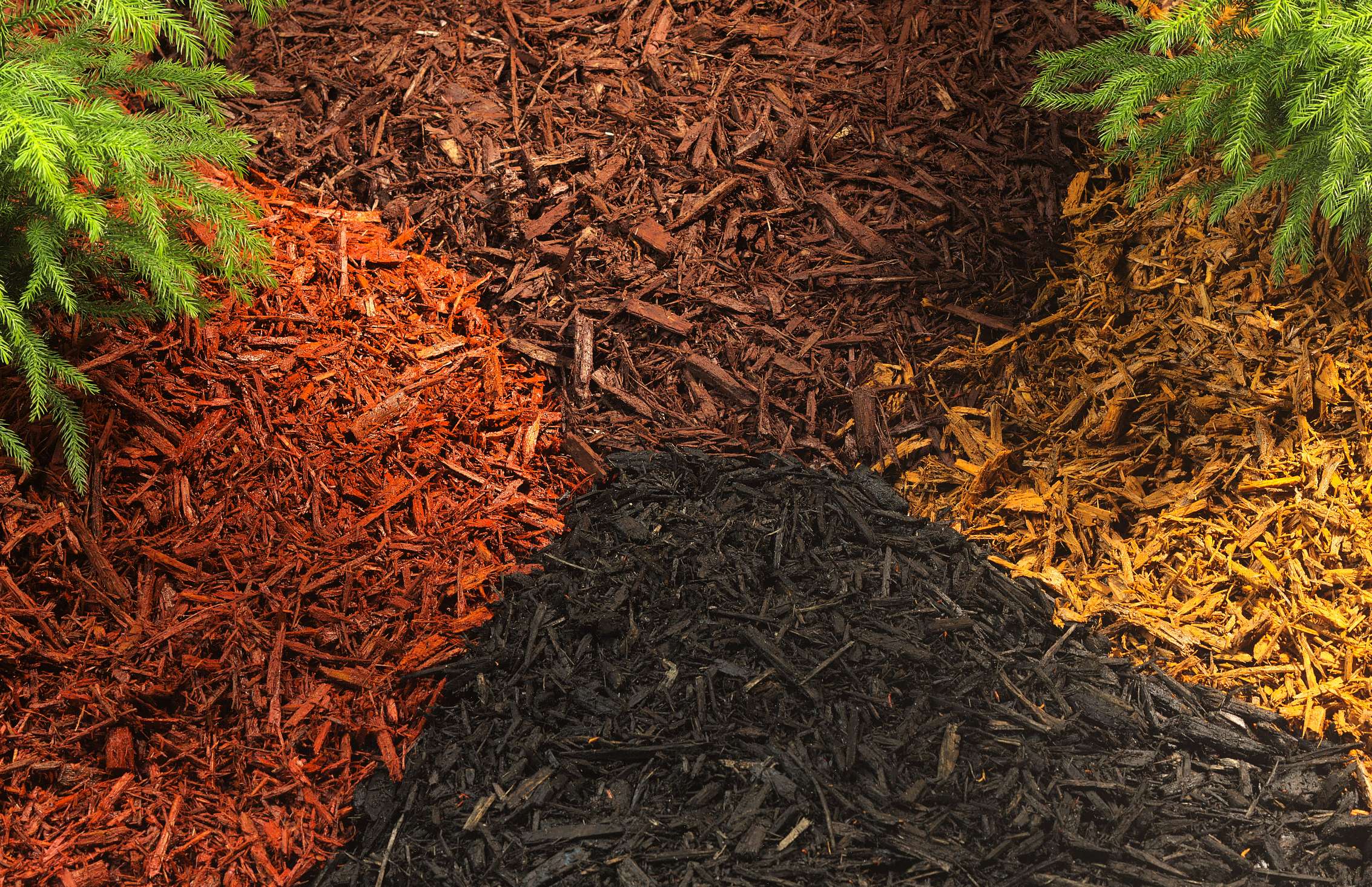 Different types of mulches for flower beds Different types of mulches for flower beds