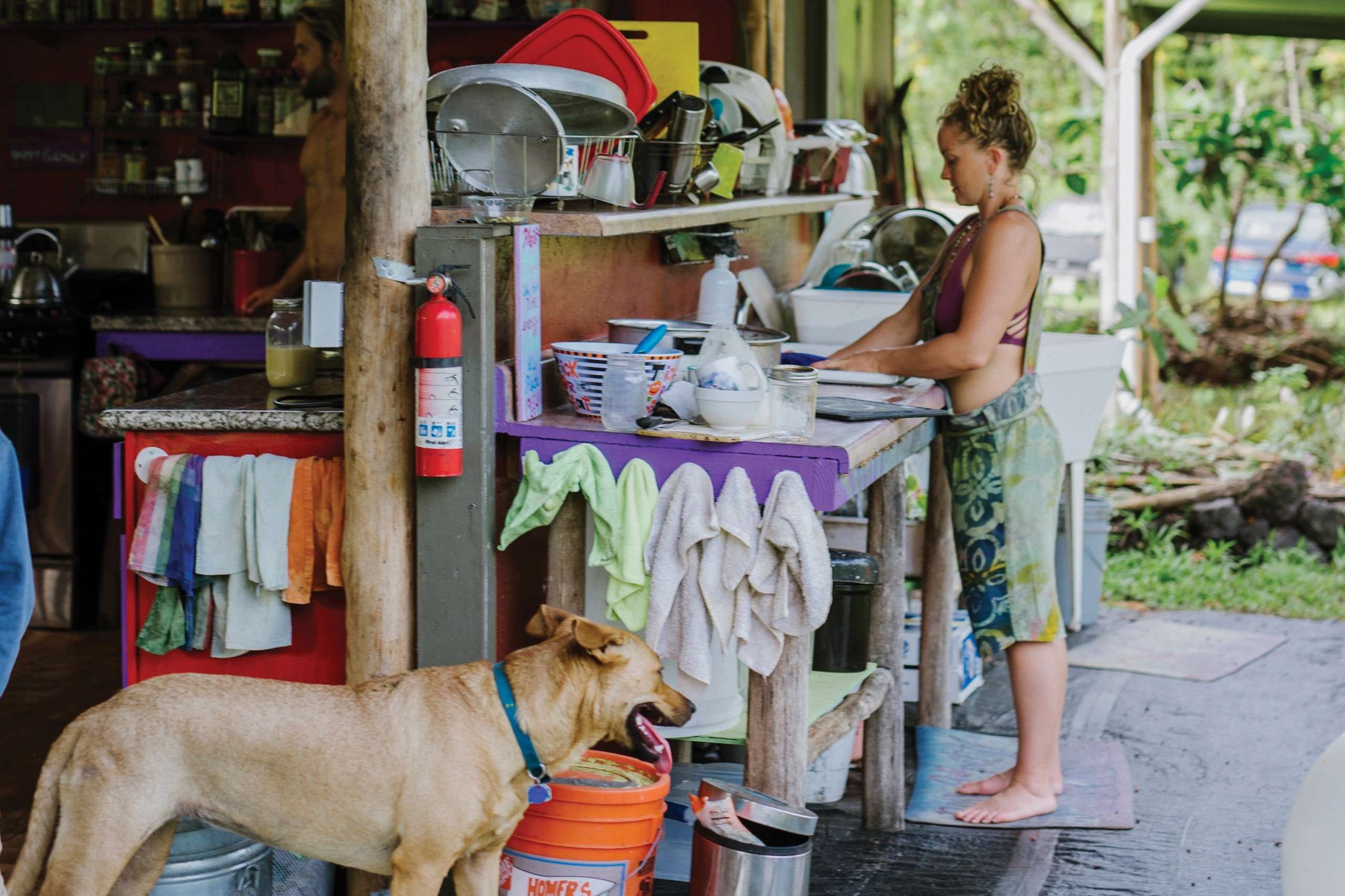 Hawaiis Reliance on Imports and High Cost of Living: Not Ideal for Off-Grid Living Hawaiis Reliance on Imports and High Cost of Living: Not Ideal for Off-Grid Living