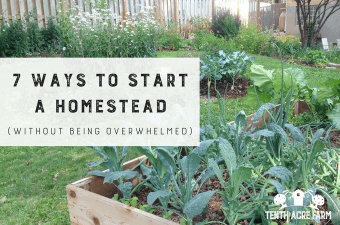 How to Start a Homestead with No Money How to Start a Homestead with No Money