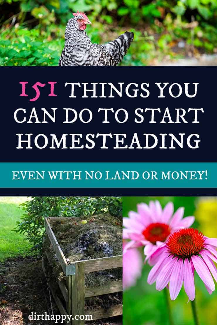 How to Start a Homestead with No Money How to Start a Homestead with No Money