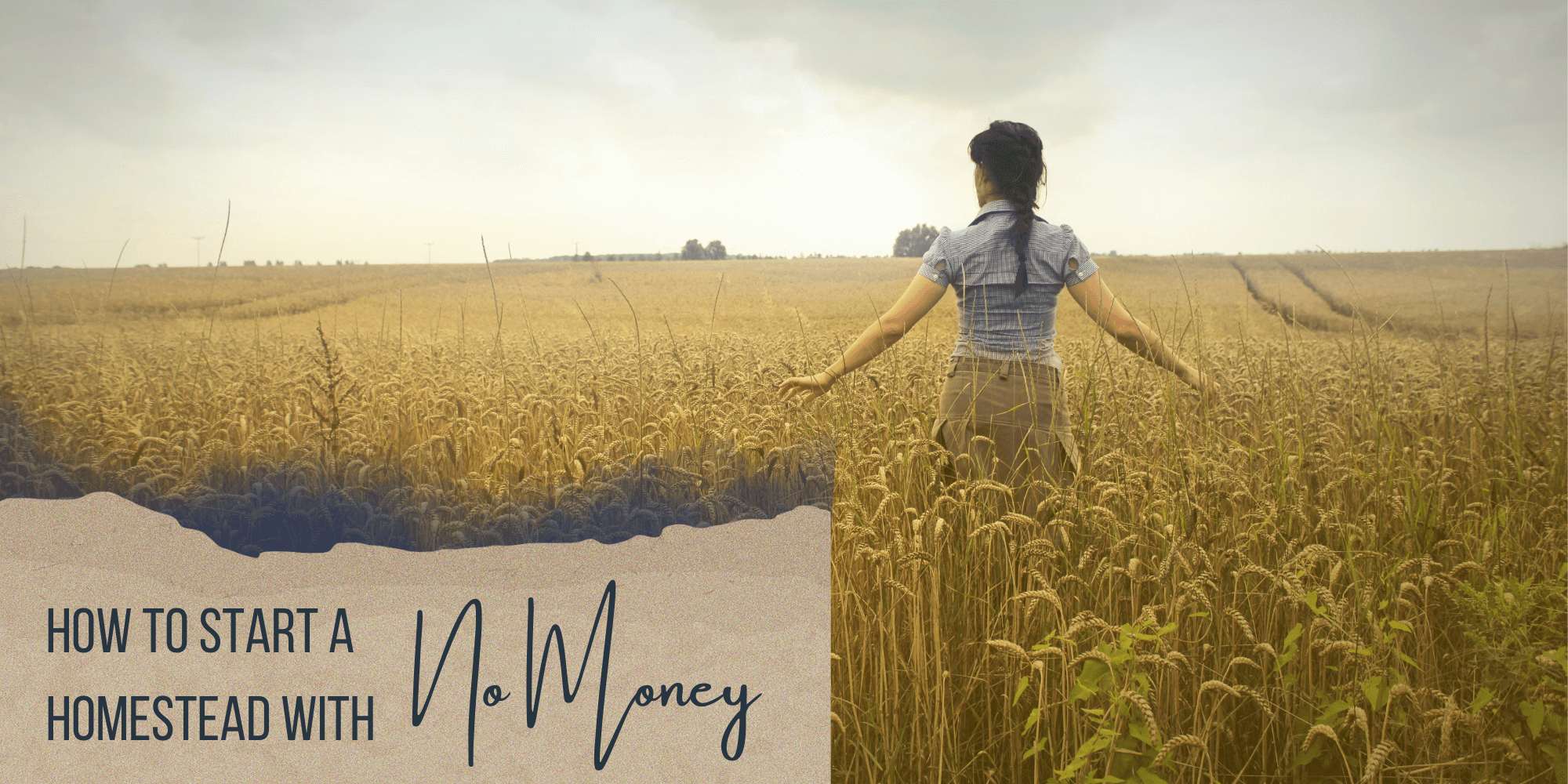 How to Start a Homestead with No Money How to Start a Homestead with No Money
