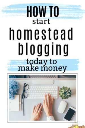 How to Start a Homesteading Blog and Share Knowledge and Experiences