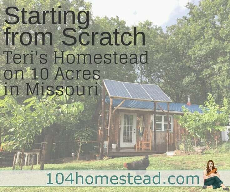 How to Start a Homesteading Blog and Share Knowledge and Experiences
