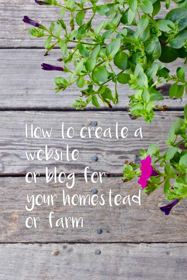 How to Start a Homesteading Blog and Share Knowledge and Experiences