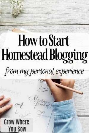 How to Start a Homesteading Blog and Share Knowledge and Experiences