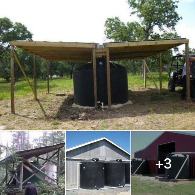 Idaho: A Haven for Off-Grid Living and Rainwater Harvesting Idaho: A Haven for Off-Grid Living and Rainwater Harvesting