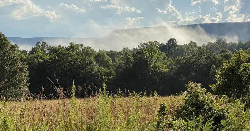 Living off-grid in Arkansas is legal.