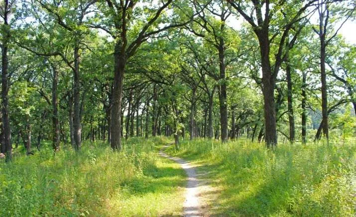 Living off-grid in Illinois: Relaxing laws for building codes, wastewater treatment, and water rights Living off-grid in Illinois: Relaxing laws for building codes, wastewater treatment, and water rights