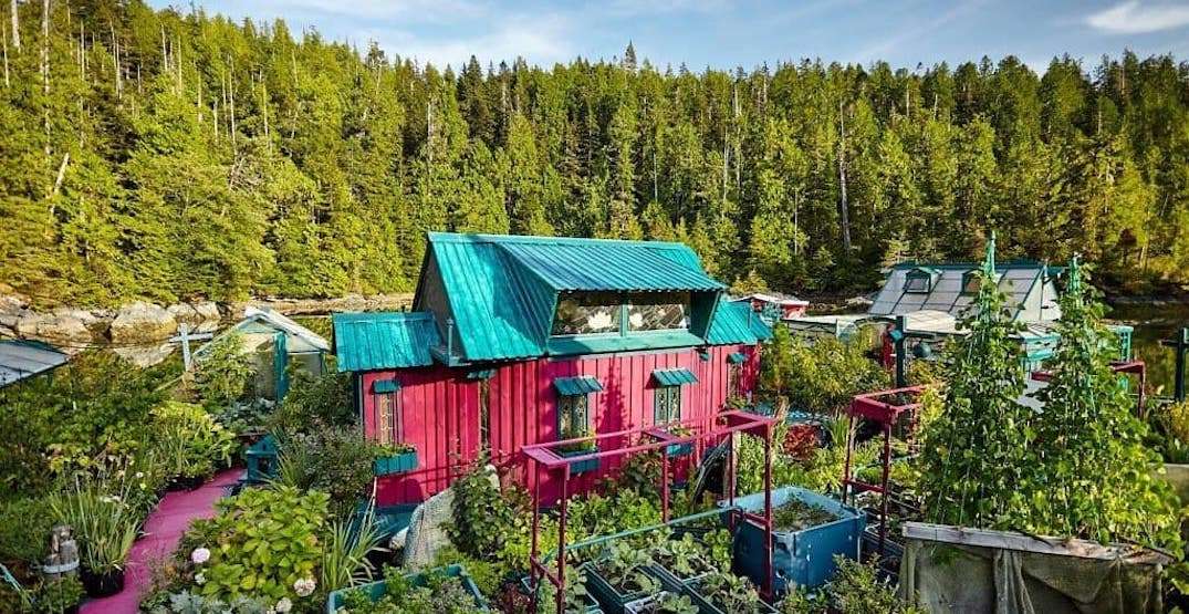 Living off-grid in Ontario: A Sustainable Lifestyle Choice