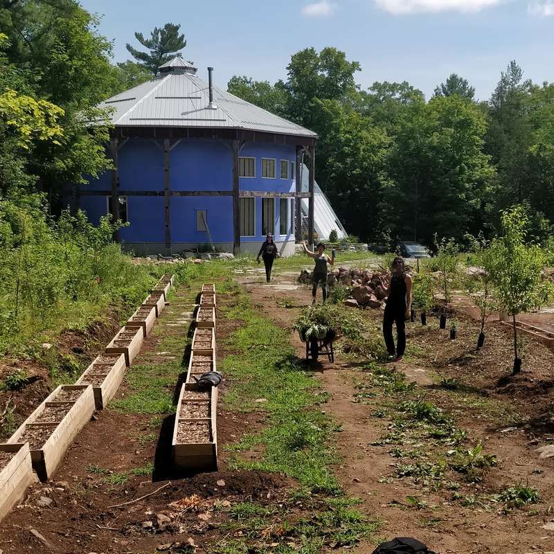 Living off-grid in Ontario: A Sustainable Lifestyle Choice