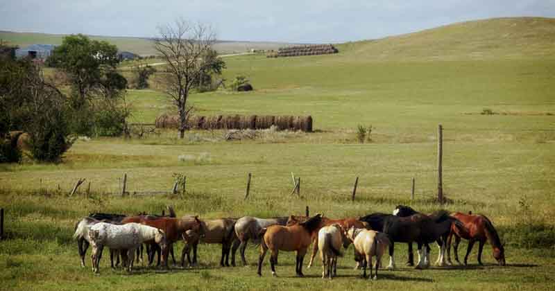 Living off-grid in South Dakota: Challenges and Permissible Options Living off-grid in South Dakota: Challenges and Permissible Options