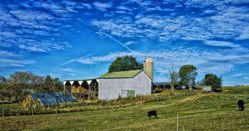 Living Off-Grid in Virginia: Legal Provisions and Rainwater Harvesting Living Off-Grid in Virginia: Legal Provisions and Rainwater Harvesting