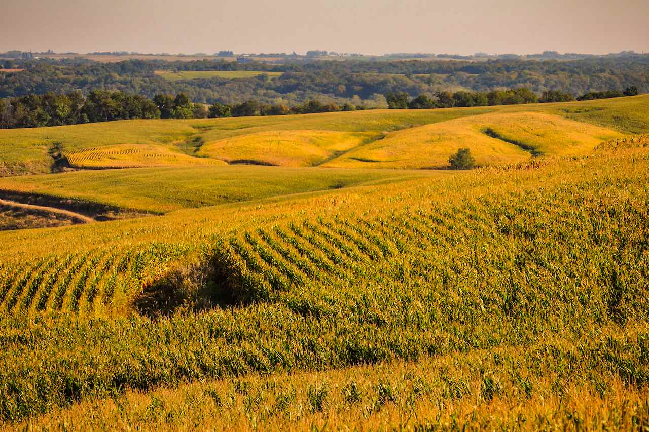 Escape to Iowa's Rolling Hills: A Campers' Paradise at Rolling Cove State Park