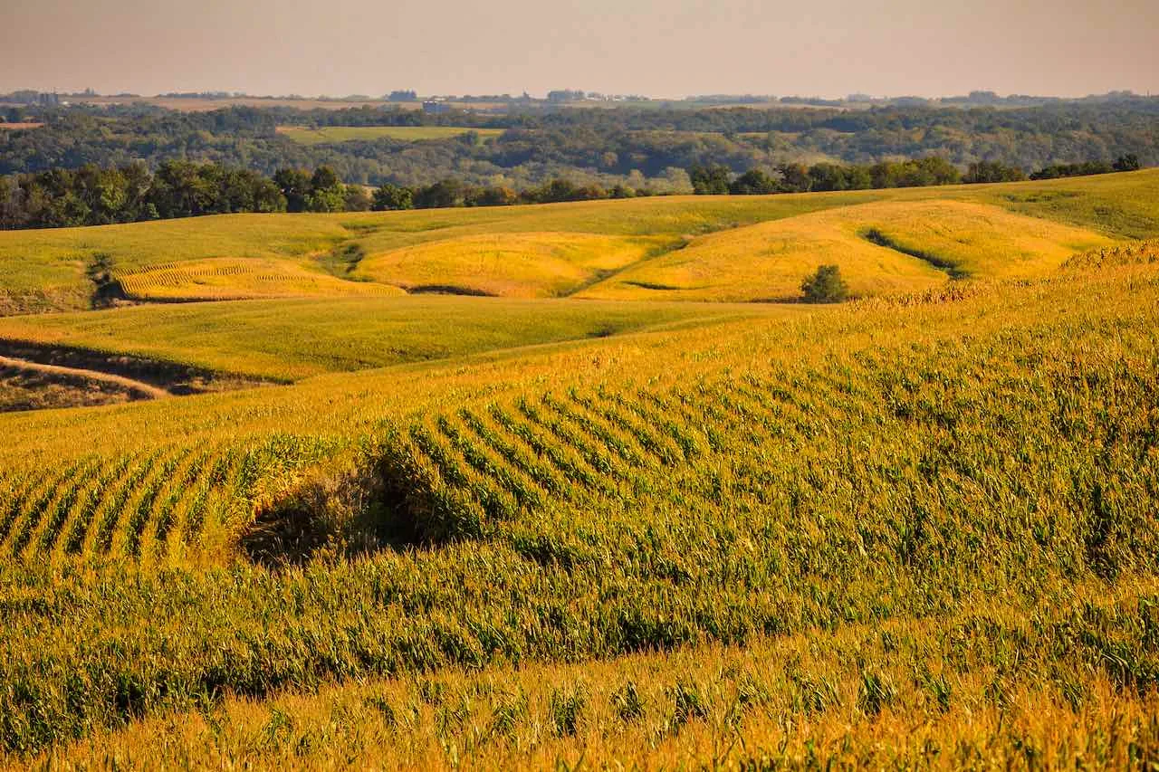 Living off the Grid in Iowa: A Guide to Off-Grid Living in the Heartland Living off the Grid in Iowa: A Guide to Off-Grid Living in the Heartland