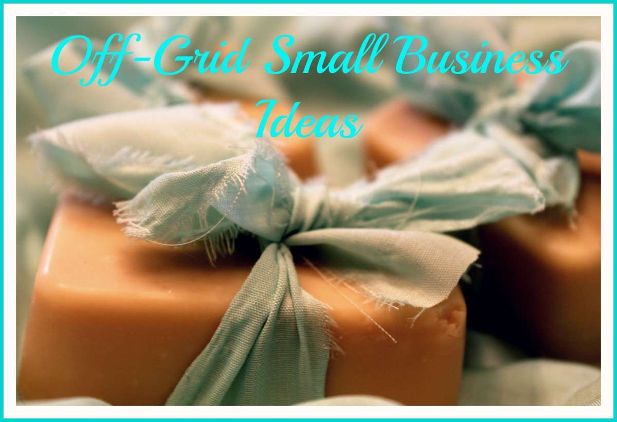 Making Money Off the Grid: Creative Ways and Opportunities Making Money Off the Grid: Creative Ways and Opportunities