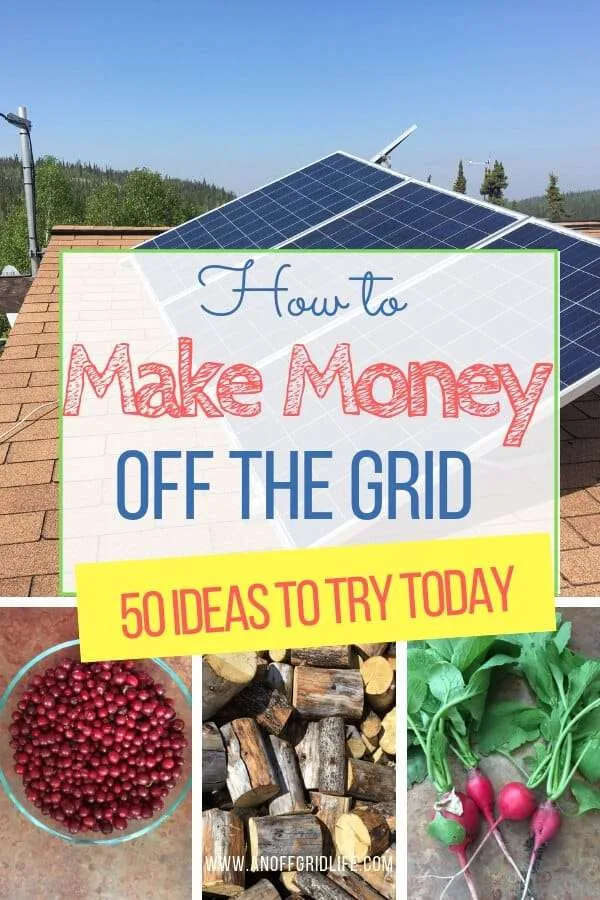 Making Money Off the Grid: Creative Ways and Opportunities