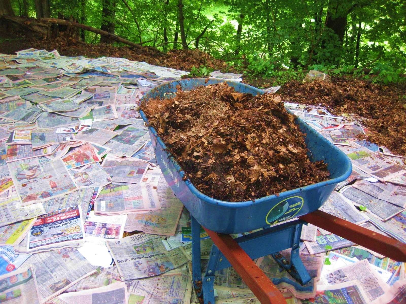 Mulching with Newspaper: A Quick and Effective Way to Provide Mulch for Your Plants Mulching with Newspaper: A Quick and Effective Way to Provide Mulch for Your Plants
