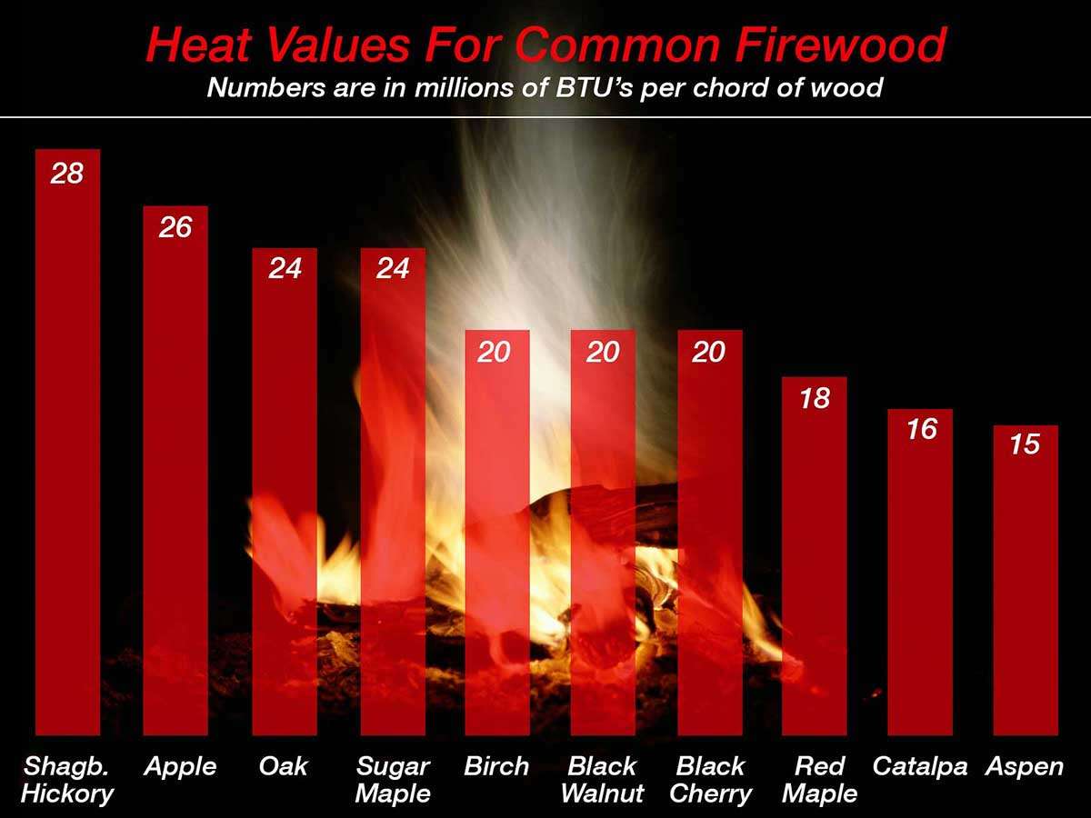 Not all firewood is equal: understanding heat output and smell Not all firewood is equal: understanding heat output and smell