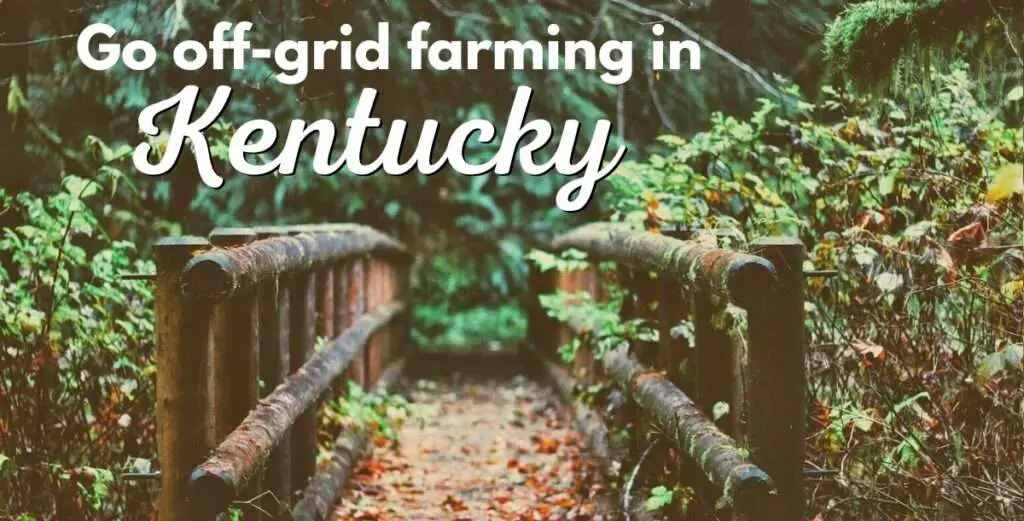 Off-Grid Living: Thriving Self-Sufficient Community in Kentucky - OffGridHarmony