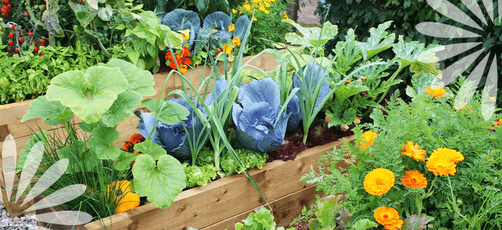 Pollinators are essential for vegetable gardens with a variety of vegetables.
