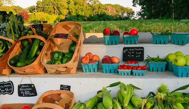 Selling vegetables roadside: A profitable venture for off-grid or homestead living Selling vegetables roadside: A profitable venture for off-grid or homestead living