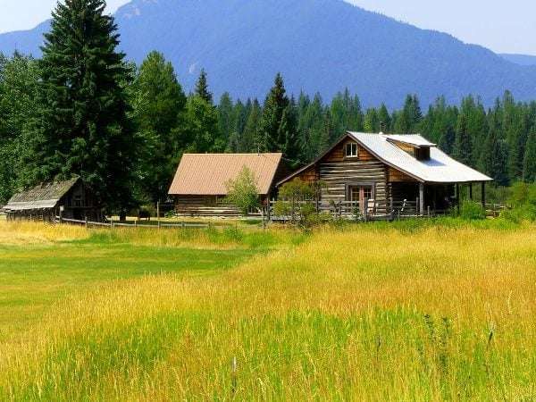 Starting an Off-Grid Homestead: Challenges and Considerations