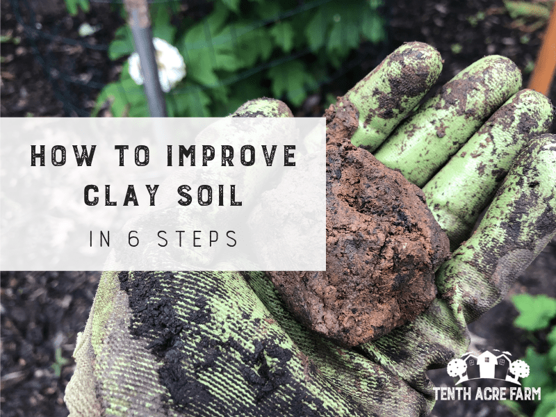 Steps to break down clay soil Steps to break down clay soil