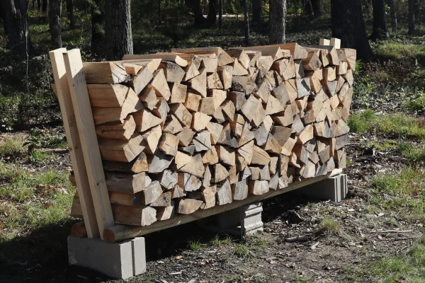Storing Firewood Outside: Precautions for Winter Heating