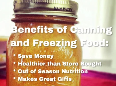 The Benefits of Canning Vegetables for Homesteaders