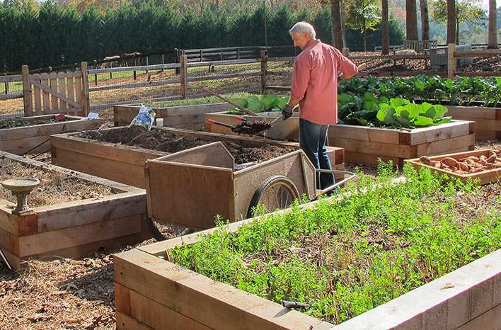 The Benefits of Cover Crops for Raised Garden Beds