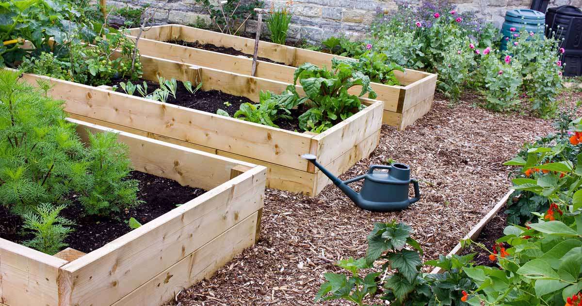 The Bottom of a Raised Garden Bed: Importance for Plant Health The Bottom of a Raised Garden Bed: Importance for Plant Health