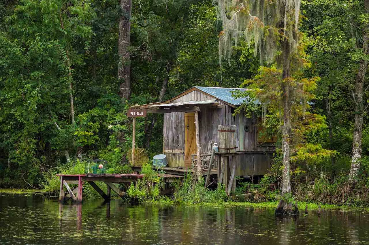 The Challenges of Off-Grid Living in Louisiana