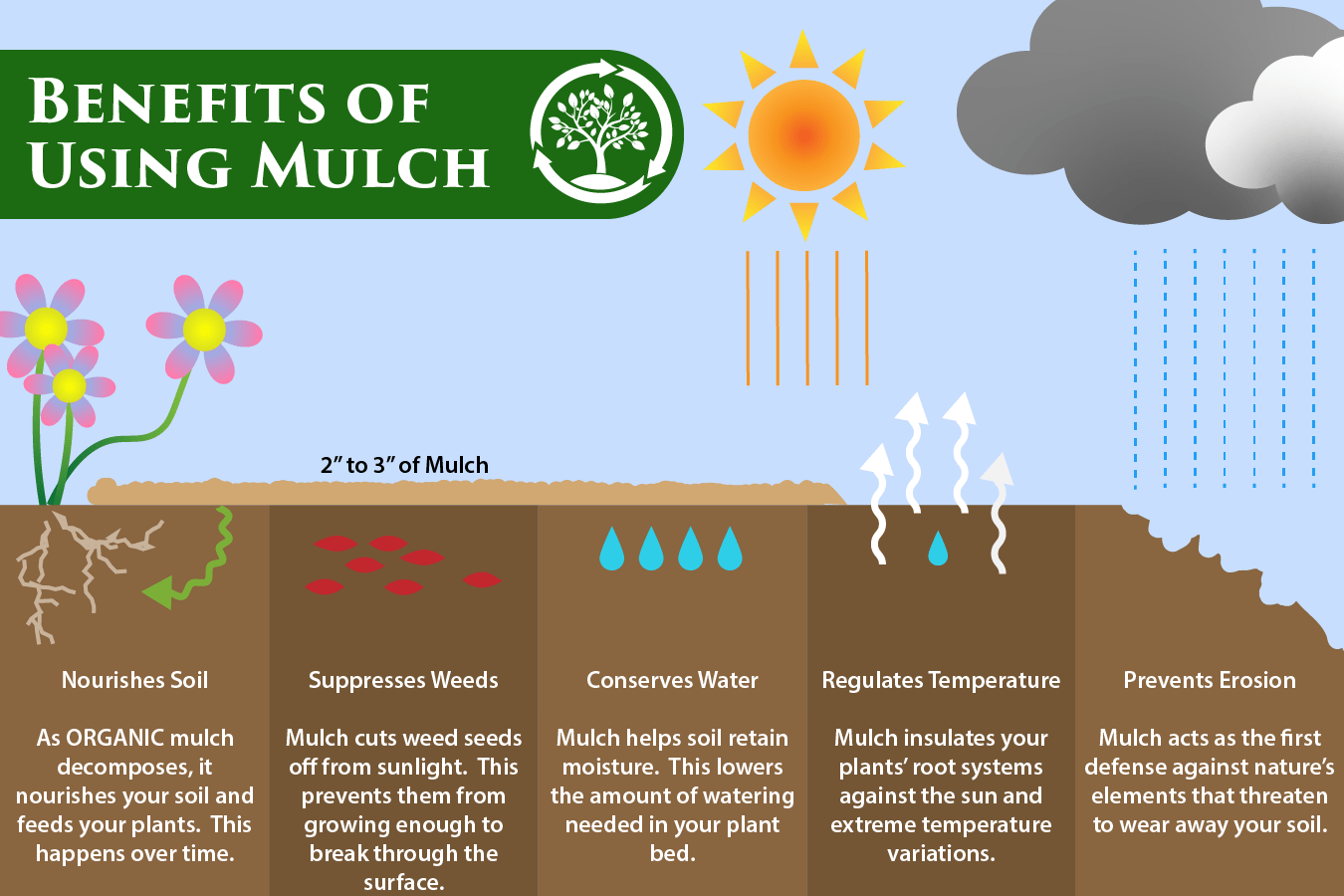The Many Benefits of Mulching for Plants and Topsoil The Many Benefits of Mulching for Plants and Topsoil