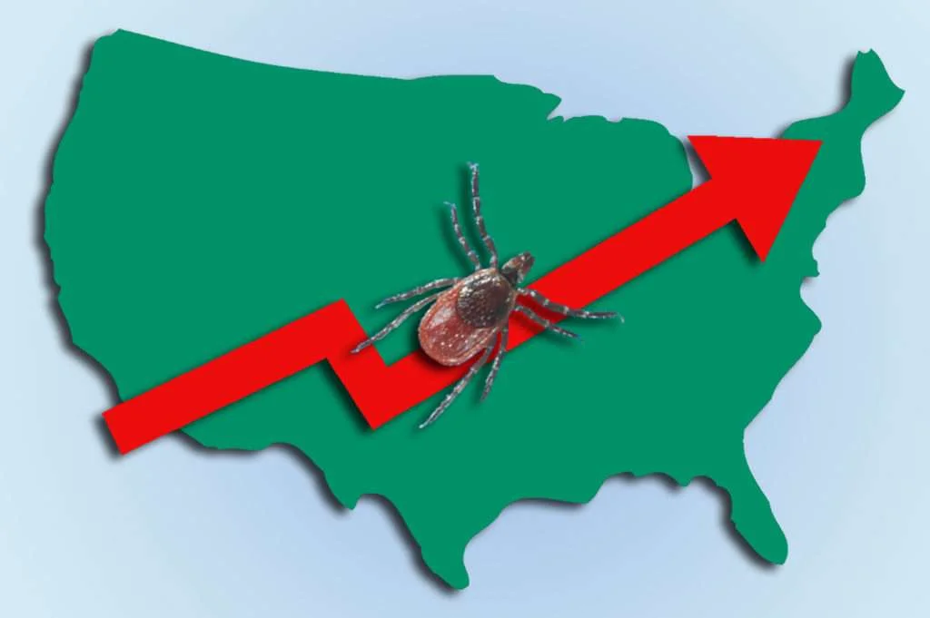 Ticks and Lyme Disease: An Increasing Problem in Recent Years