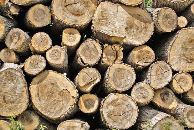 Tips for Drying Wet Firewood