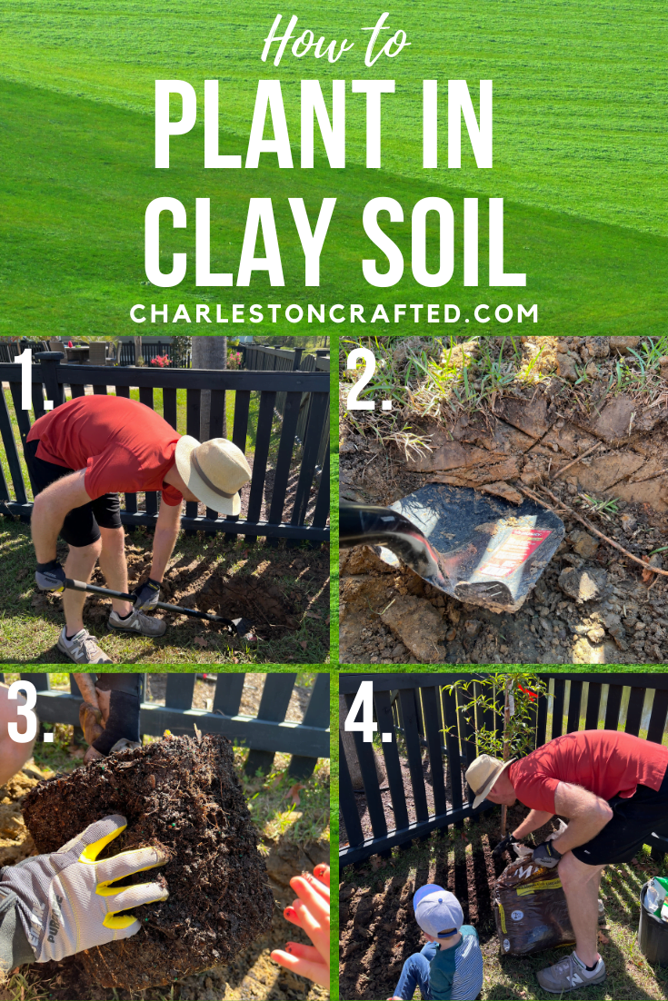 Tips for Successful Gardening in Clay Soil