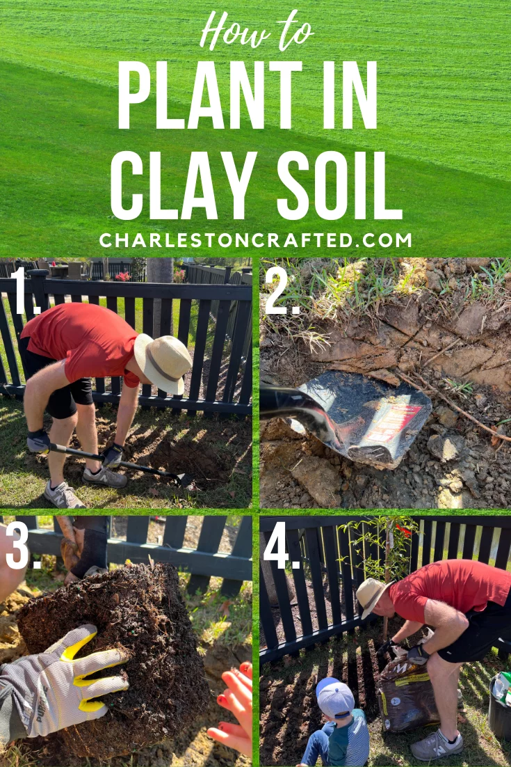 Tips for Successful Gardening in Clay Soil Tips for Successful Gardening in Clay Soil