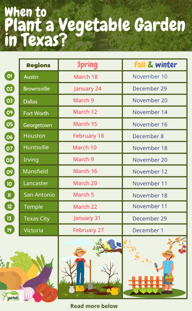 Vegetable Gardening In Fast Growing Central Texas OffGridHarmony vegetable-gardening-in-fast-growing-central-texas-offgridharmony