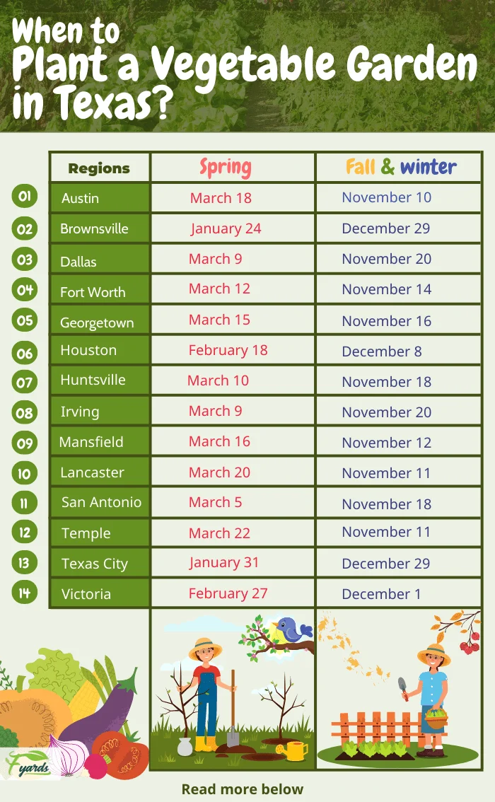 Vegetable Gardening in Fast-Growing Central Texas