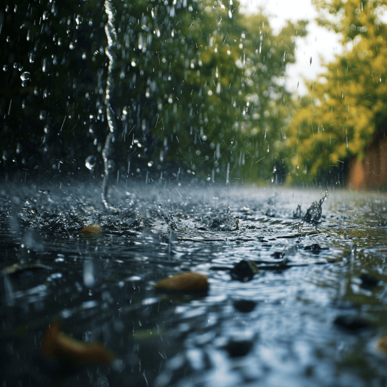 Is It Safe To Drink Rain Water? An OffGrid Guide OffGridHarmony